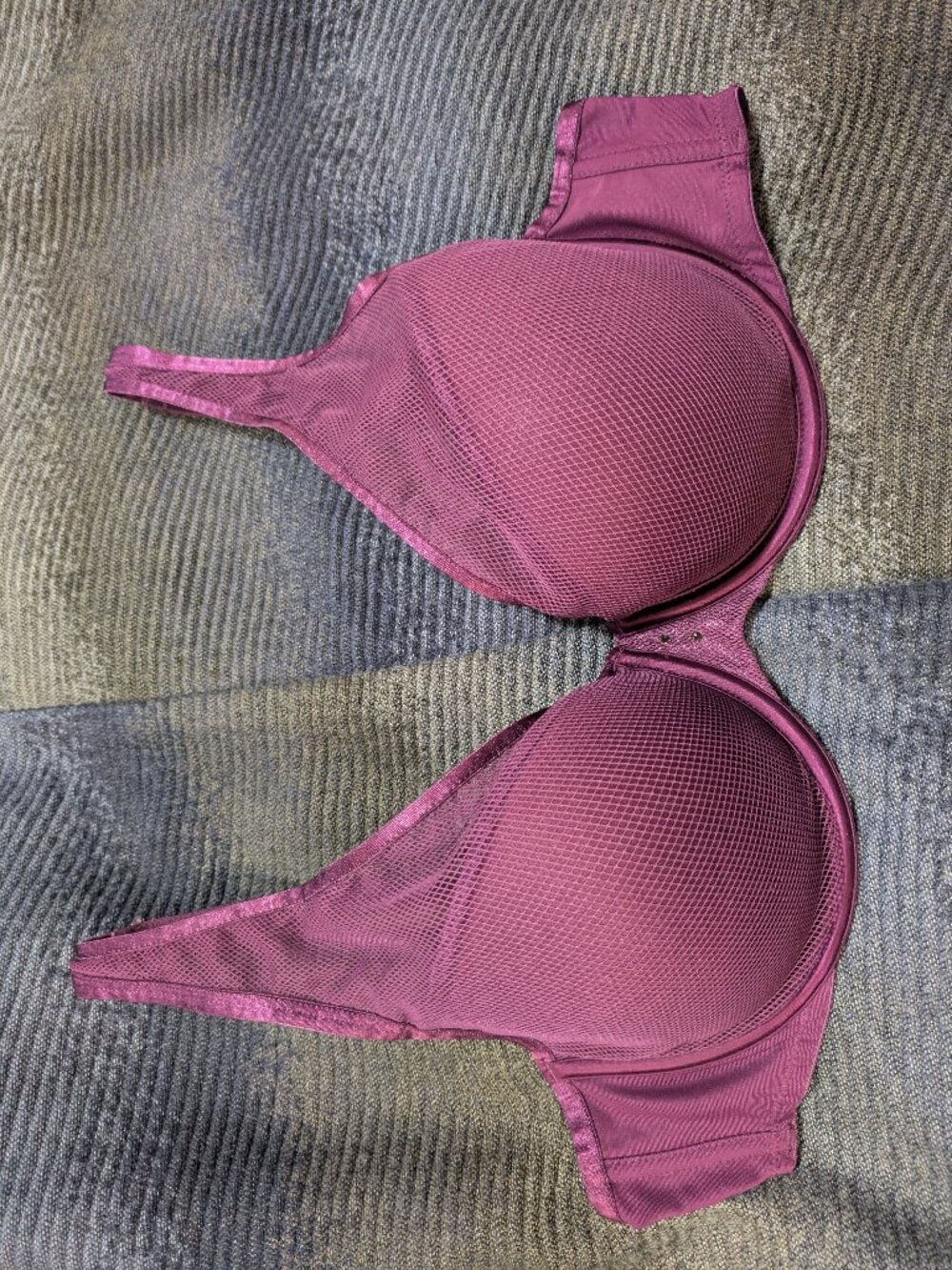 Curvy Couture Intimates Mesh Purple Padded Wired 40C Bra
